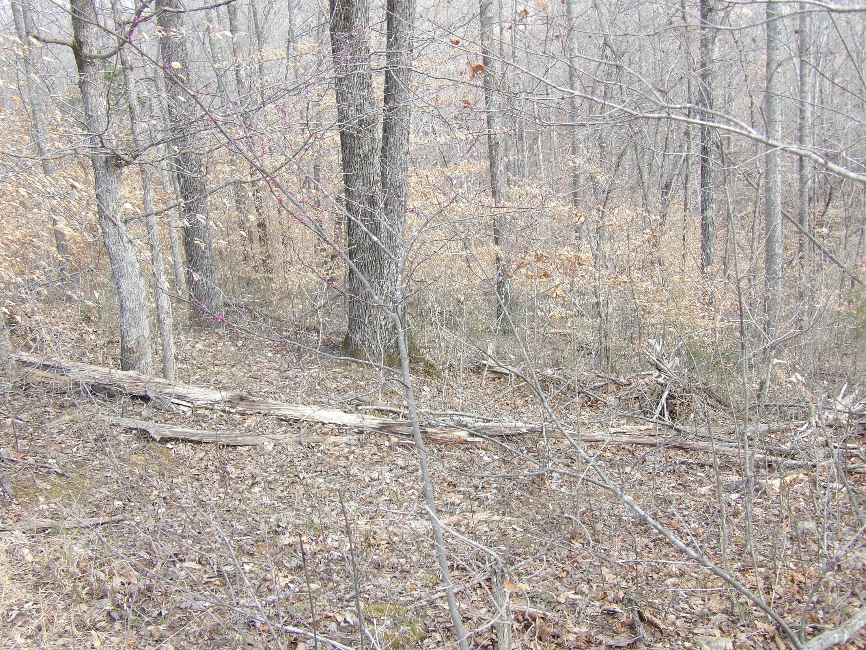 011 York Highway, Gainesboro, Tennessee image 29