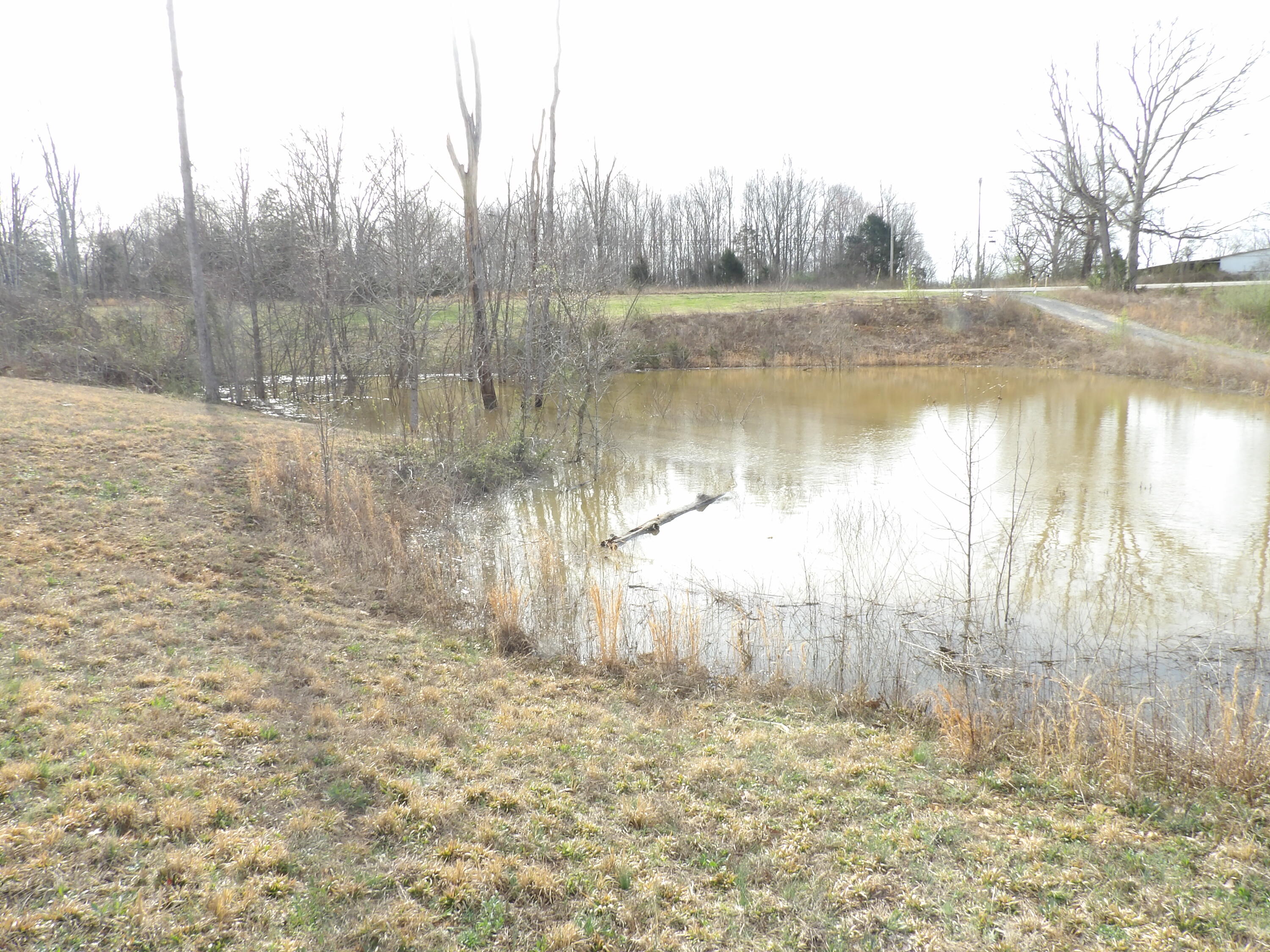 011 York Highway, Gainesboro, Tennessee image 3