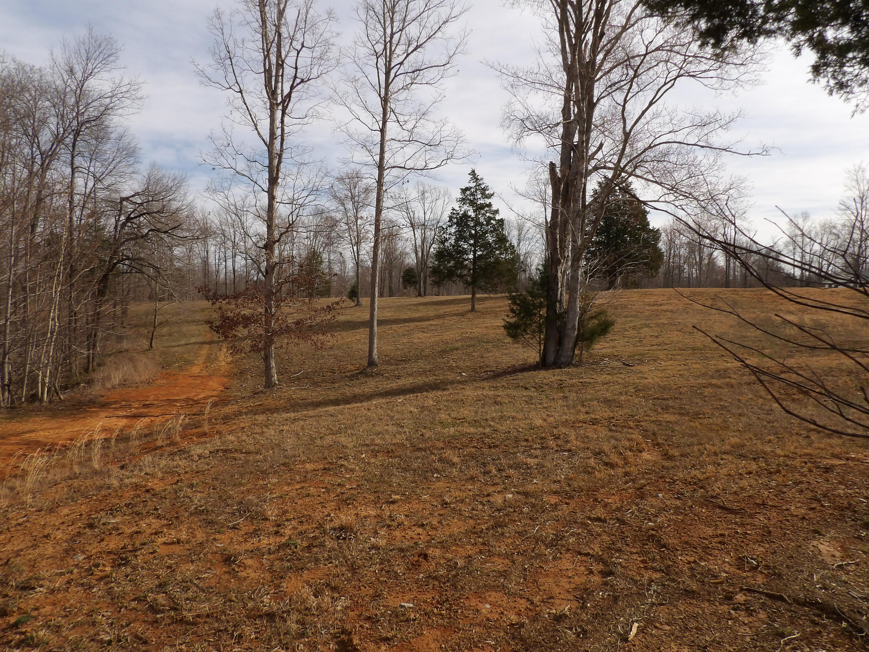 011 York Highway, Gainesboro, Tennessee image 20