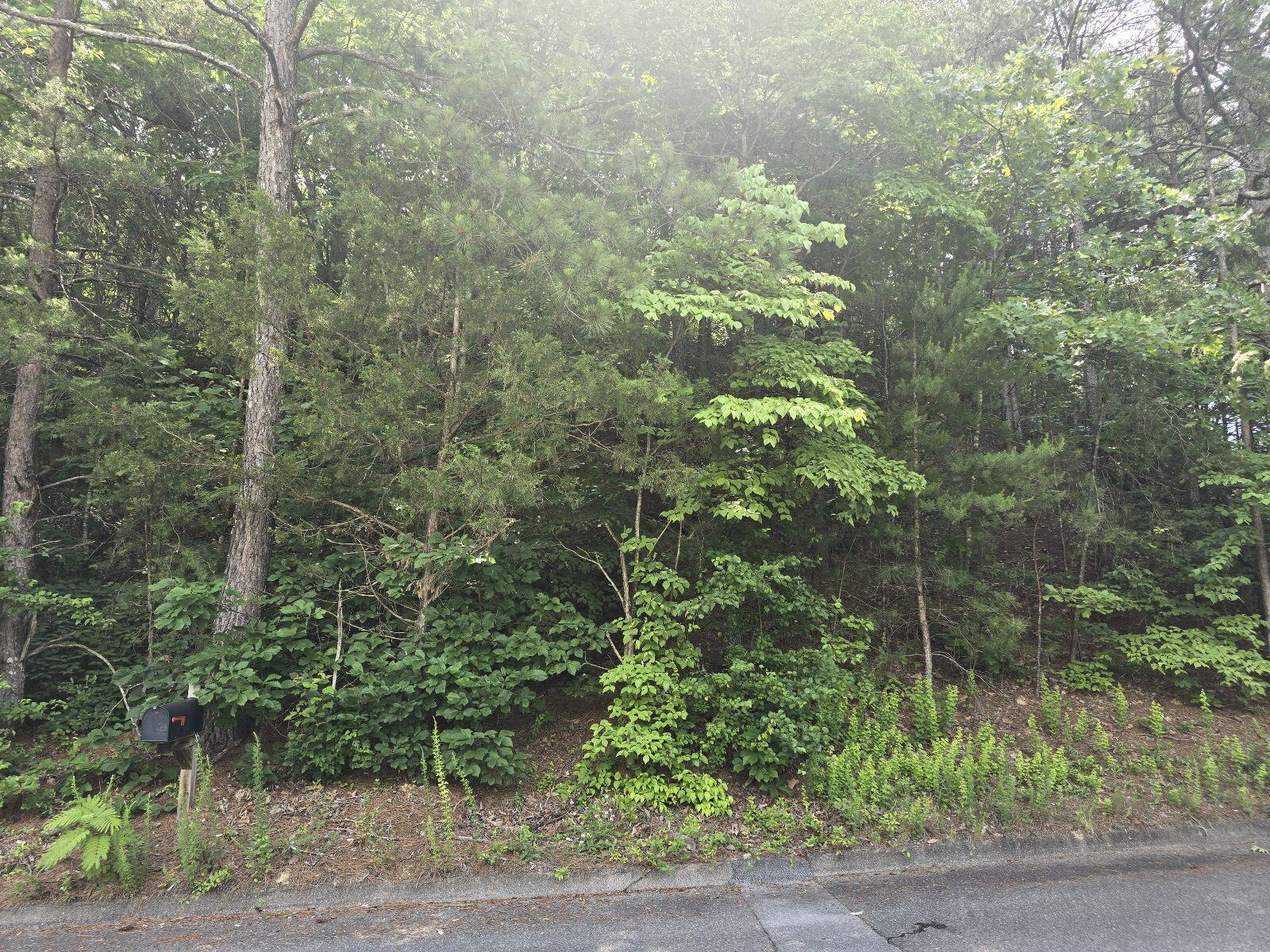 3302 NW Ridgeway Drive #LOT 42, Cleveland, Tennessee image 2