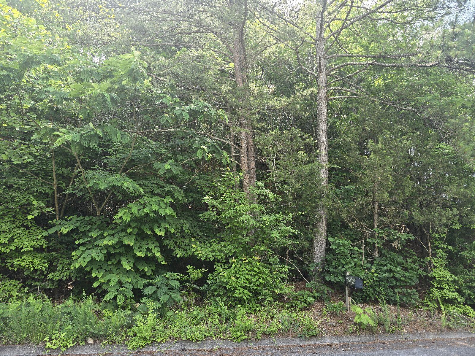 3302 NW Ridgeway Drive #LOT 42, Cleveland, Tennessee image 1