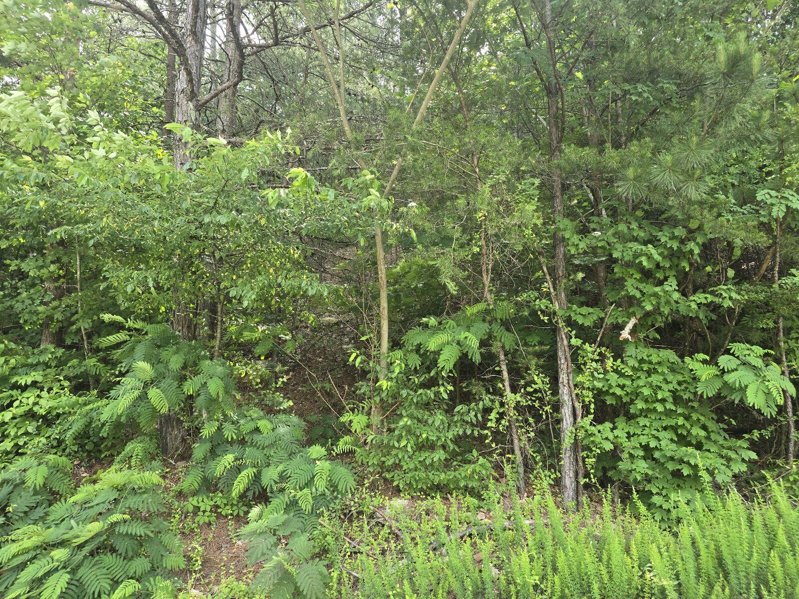 3302 NW Ridgeway Drive #LOT 42, Cleveland, Tennessee image 4