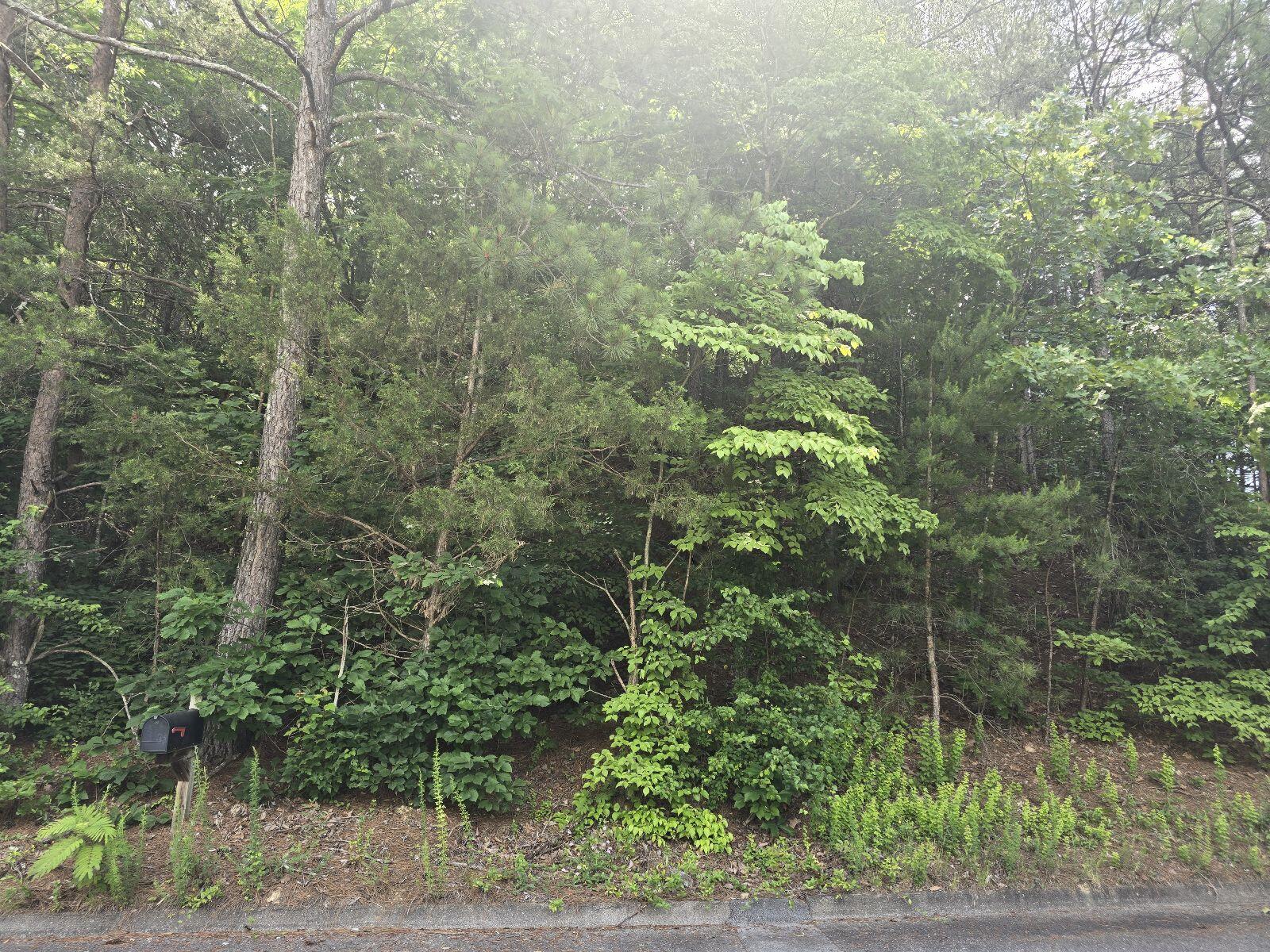 3302 NW Ridgeway Drive #LOT 42, Cleveland, Tennessee image 3
