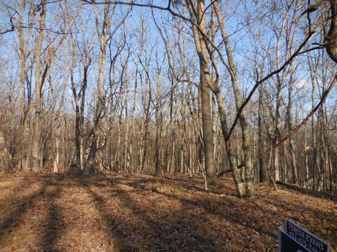 Vacant Land For Sale - 133 Greenbrier Loop<br/> Crossville, TN 38558