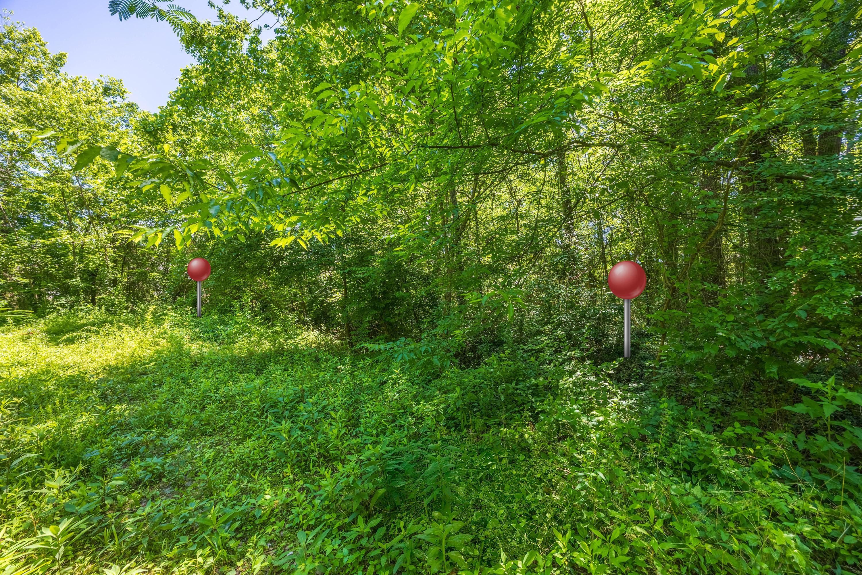 6954 Robinson Drive, Chattanooga, Tennessee image 3
