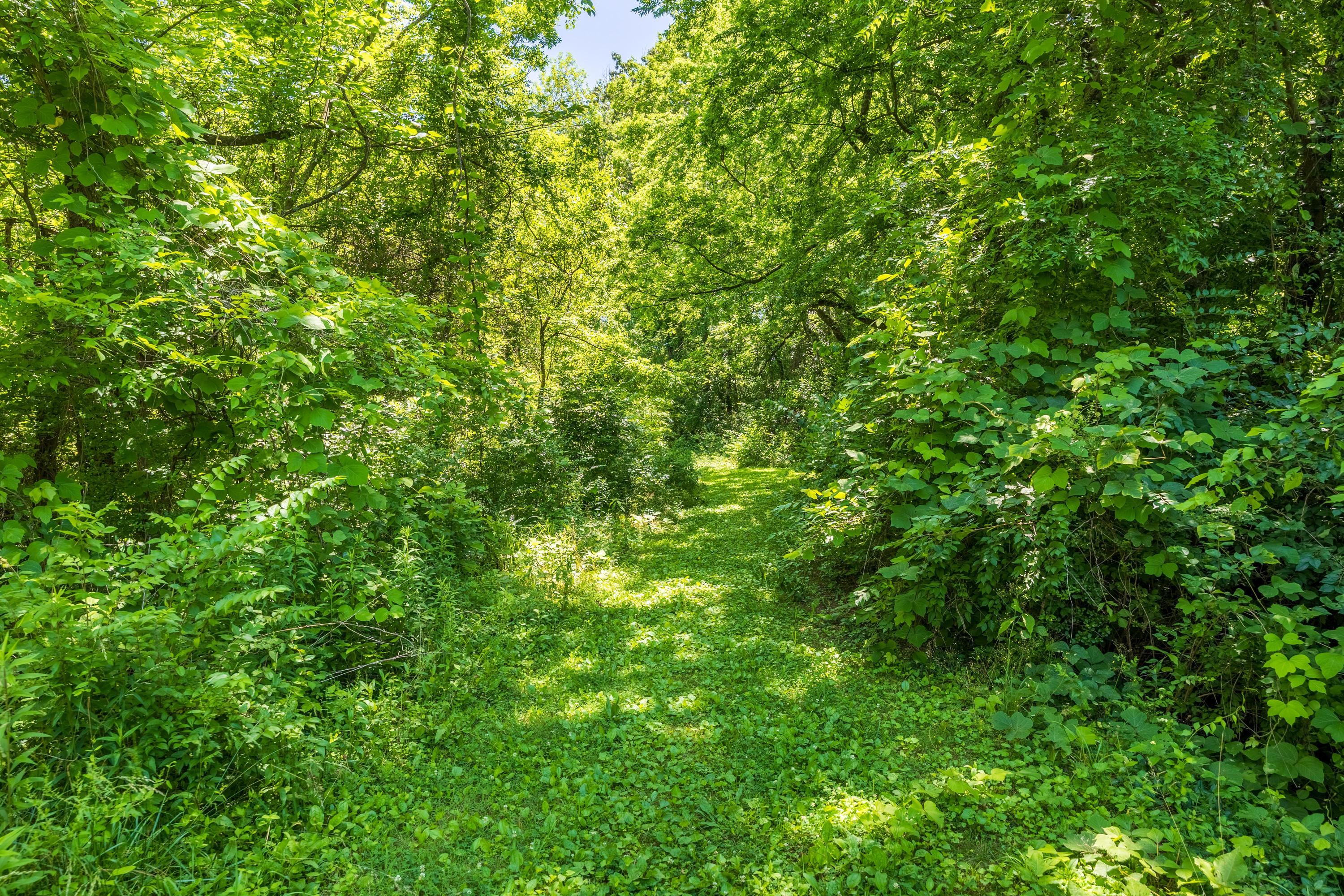 6954 Robinson Drive, Chattanooga, Tennessee image 2