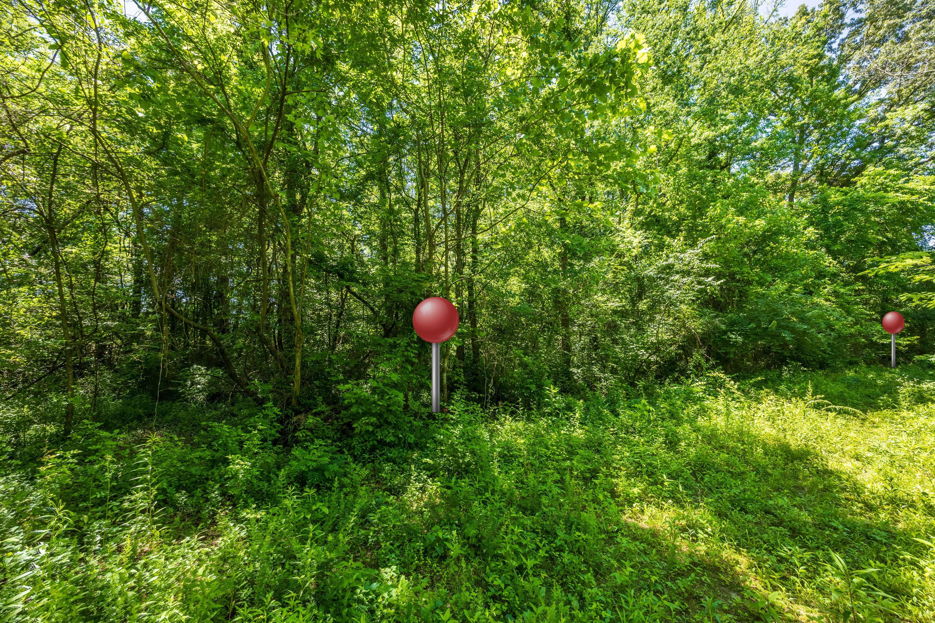 6954 Robinson Drive, Chattanooga, Tennessee image 4