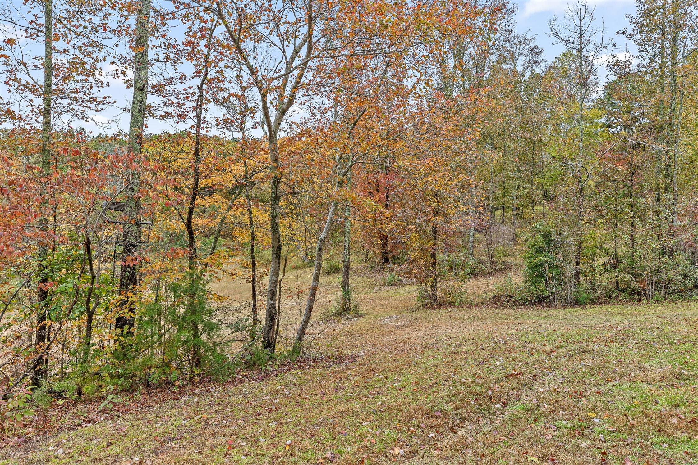 Rocky Face, Georgia 30740, United States, 3 Bedrooms Bedrooms, ,3 BathroomsBathrooms,Residential,Active,237514