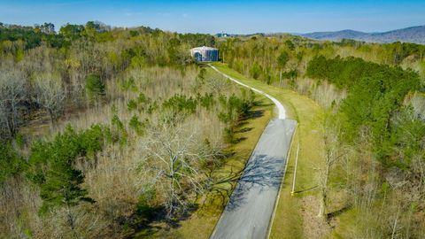 Tiny photo for 756 Blythe Ferry Road, Dayton, TN 37321 (MLS # 1529260)