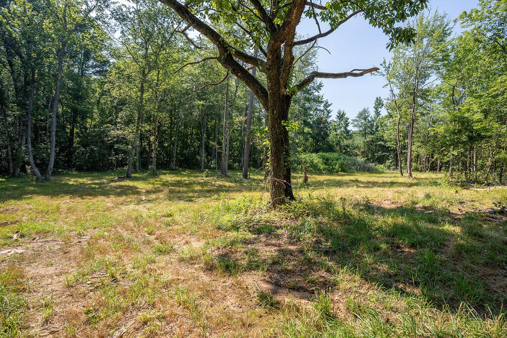 Flat Rock, Alabama 35966, United States, ,Land,Active,169814