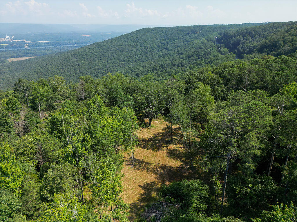 Flat Rock, Alabama 35966, United States, ,Land,Active,169814