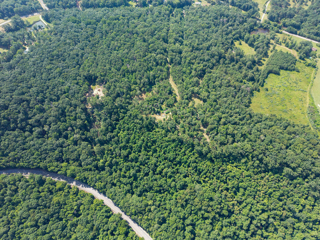 Flat Rock, Alabama 35966, United States, ,Land,Active,169814