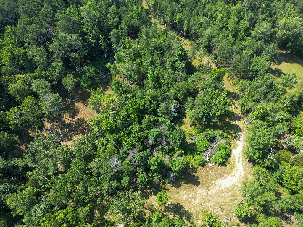 Flat Rock, Alabama 35966, United States, ,Land,Active,169814