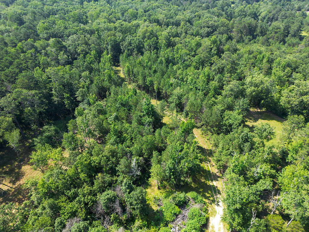 Flat Rock, Alabama 35966, United States, ,Land,Active,169814