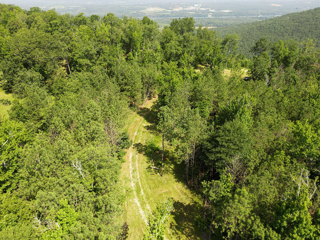 Flat Rock, Alabama 35966, United States, ,Land,Active,169814