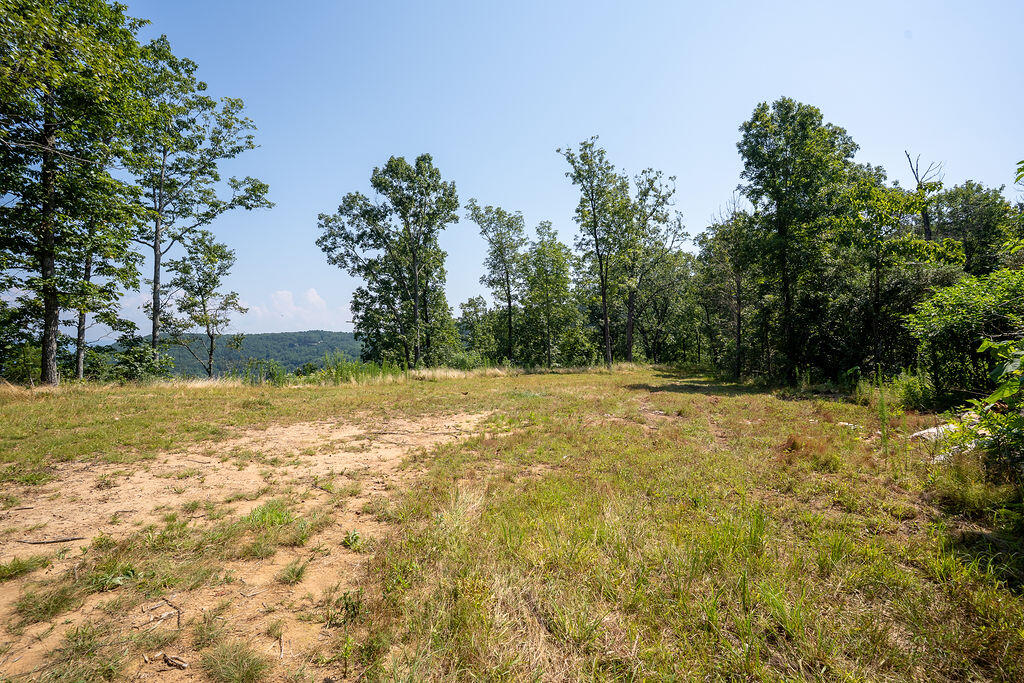 Flat Rock, Alabama 35966, United States, ,Land,Active,169814