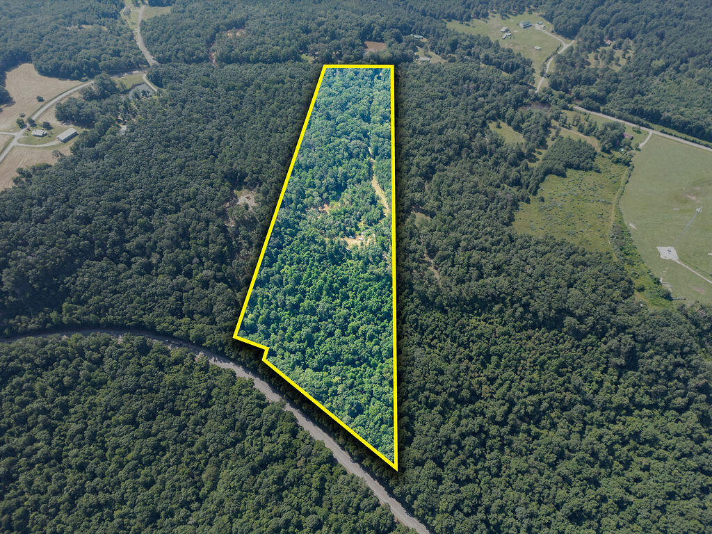 Flat Rock, Alabama 35966, United States, ,Land,Active,169814