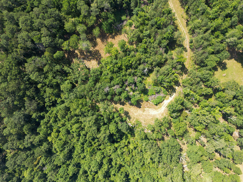 Flat Rock, Alabama 35966, United States, ,Land,Active,169814