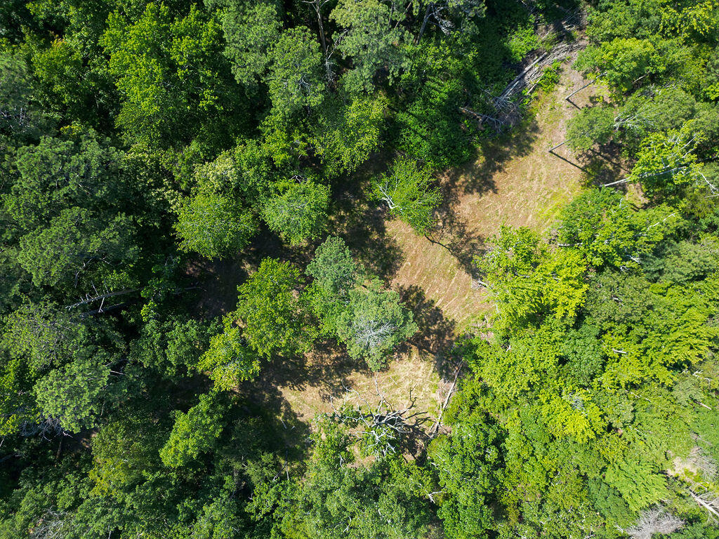 Flat Rock, Alabama 35966, United States, ,Land,Active,169814