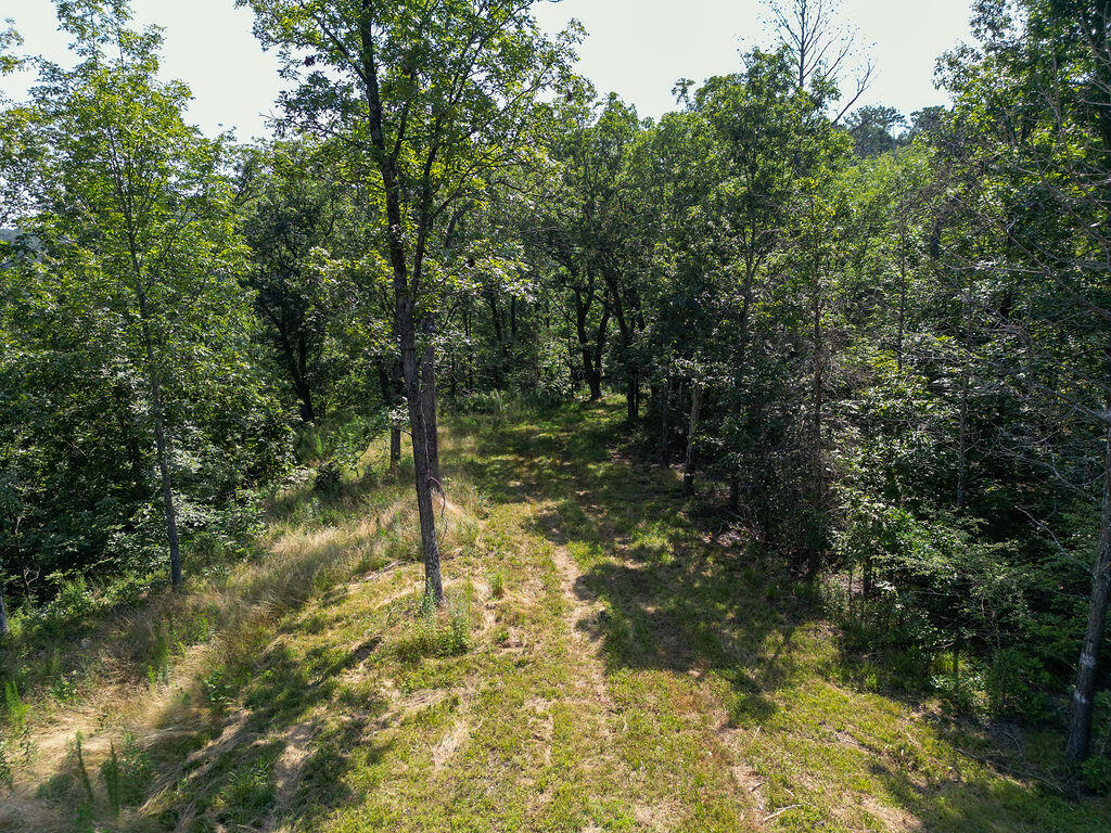 Flat Rock, Alabama 35966, United States, ,Land,Active,169814