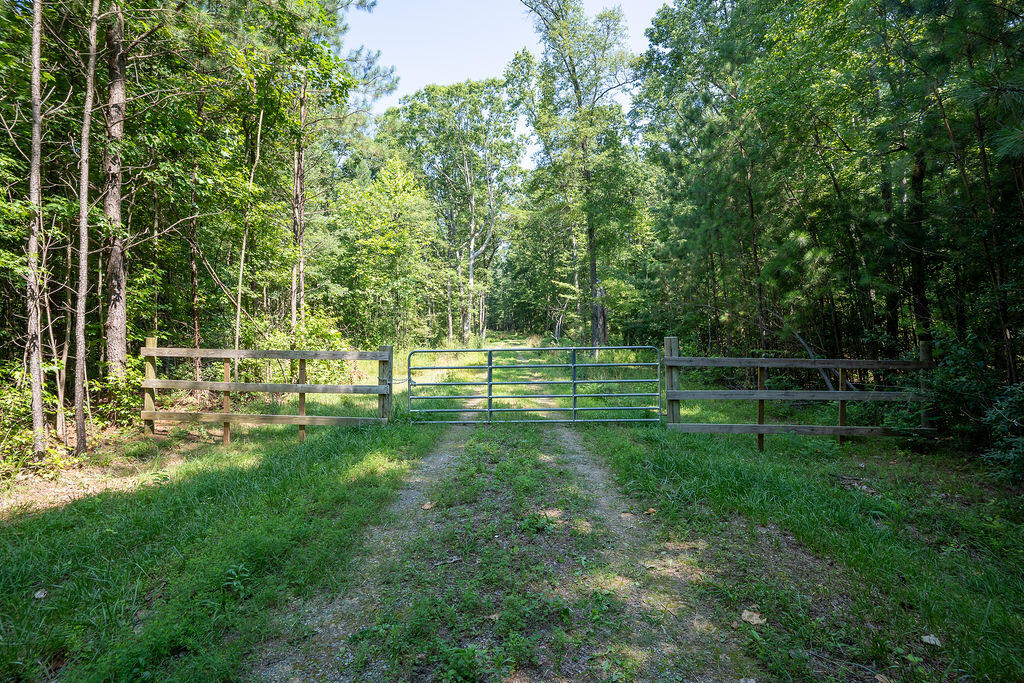 Flat Rock, Alabama 35966, United States, ,Land,Active,169814