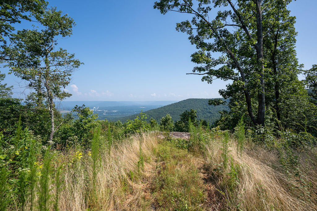 Flat Rock, Alabama 35966, United States, ,Land,Active,169814