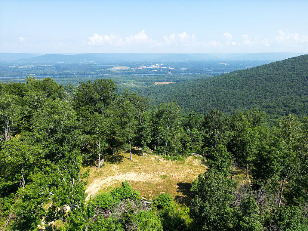 Flat Rock, Alabama 35966, United States, ,Land,Active,169814