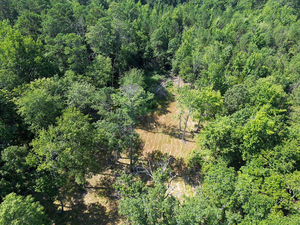 Flat Rock, Alabama 35966, United States, ,Land,Active,169814