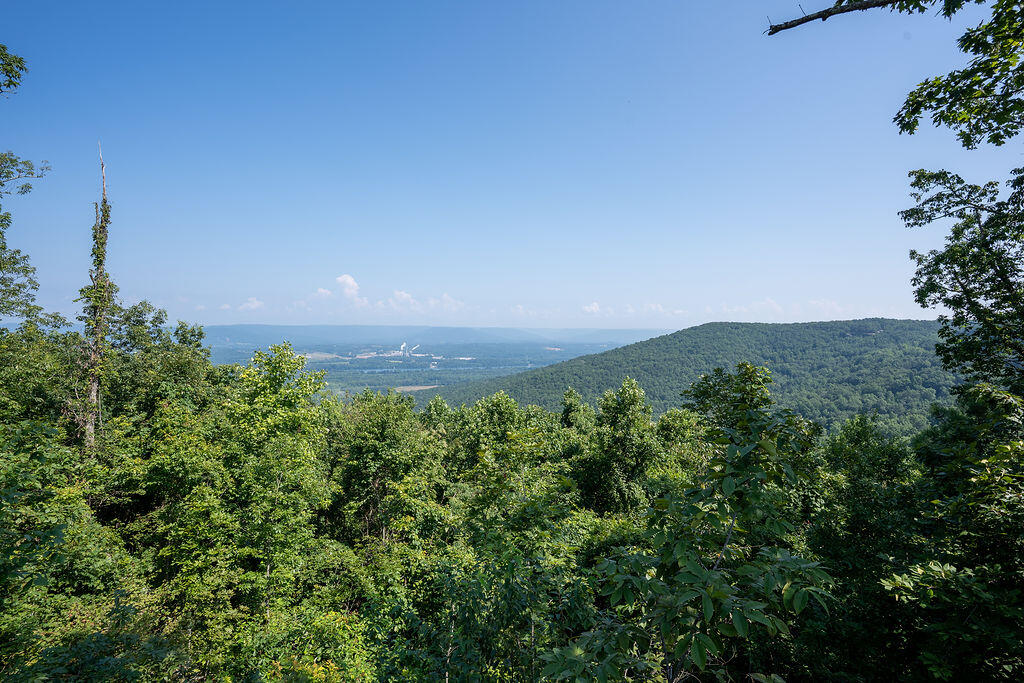 Flat Rock, Alabama 35966, United States, ,Land,Active,169814