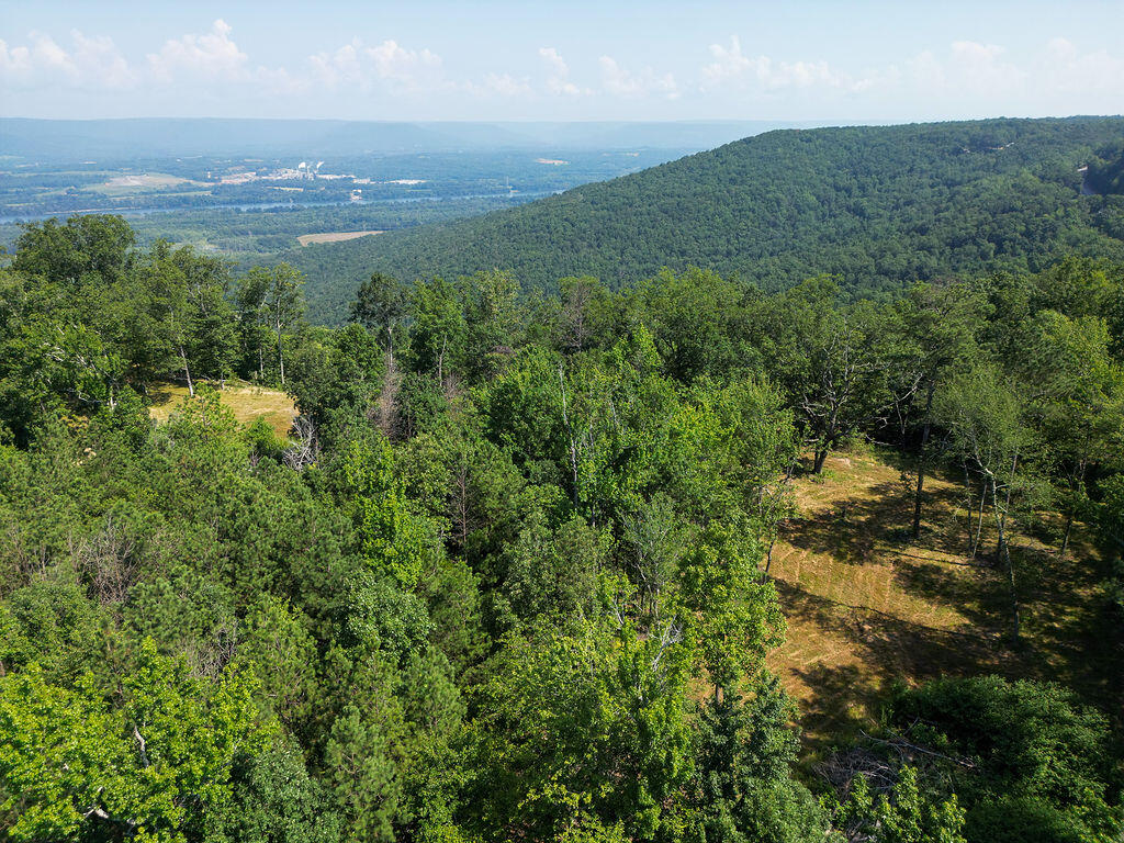 Flat Rock, Alabama 35966, United States, ,Land,Active,169814