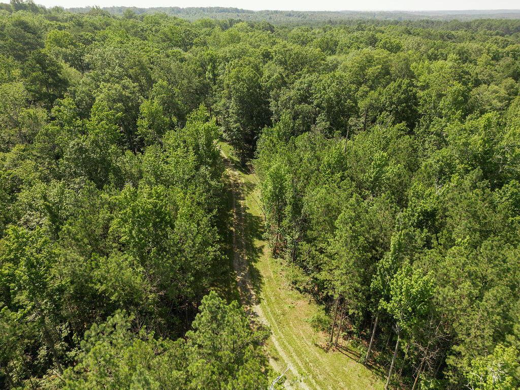 Flat Rock, Alabama 35966, United States, ,Land,Active,169814