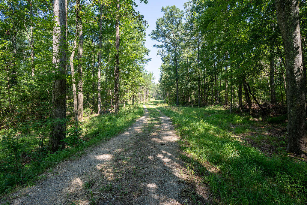 Flat Rock, Alabama 35966, United States, ,Land,Active,169814