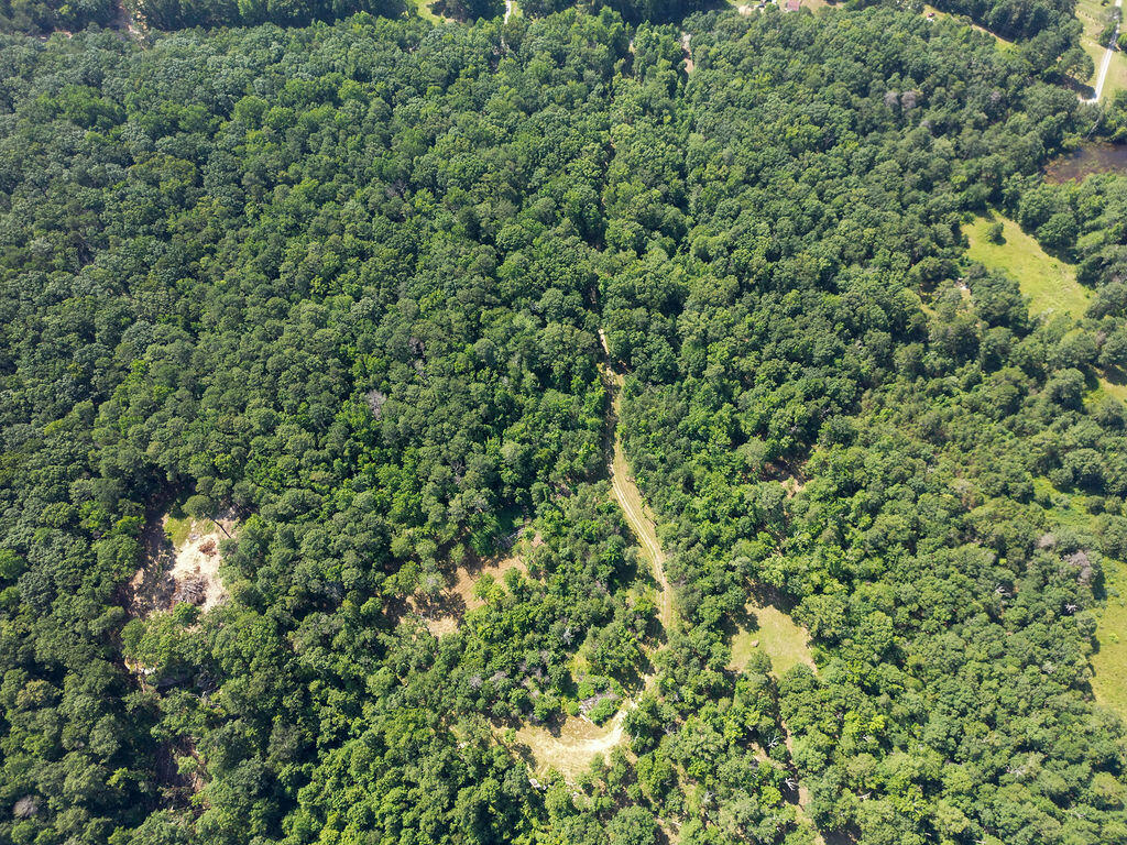 Flat Rock, Alabama 35966, United States, ,Land,Active,169814