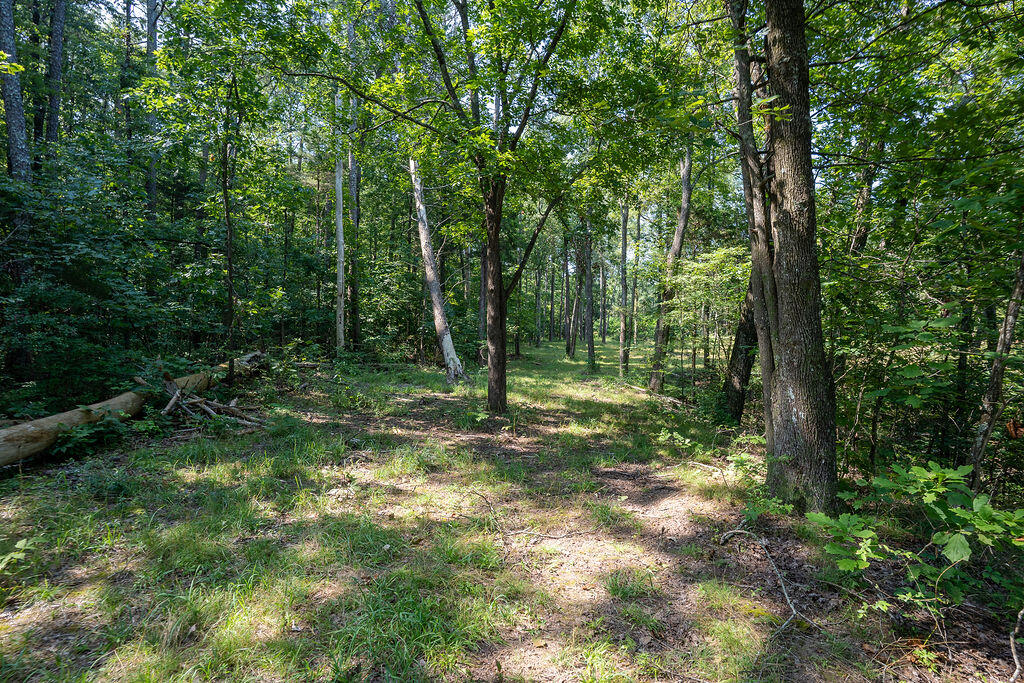 Flat Rock, Alabama 35966, United States, ,Land,Active,169814