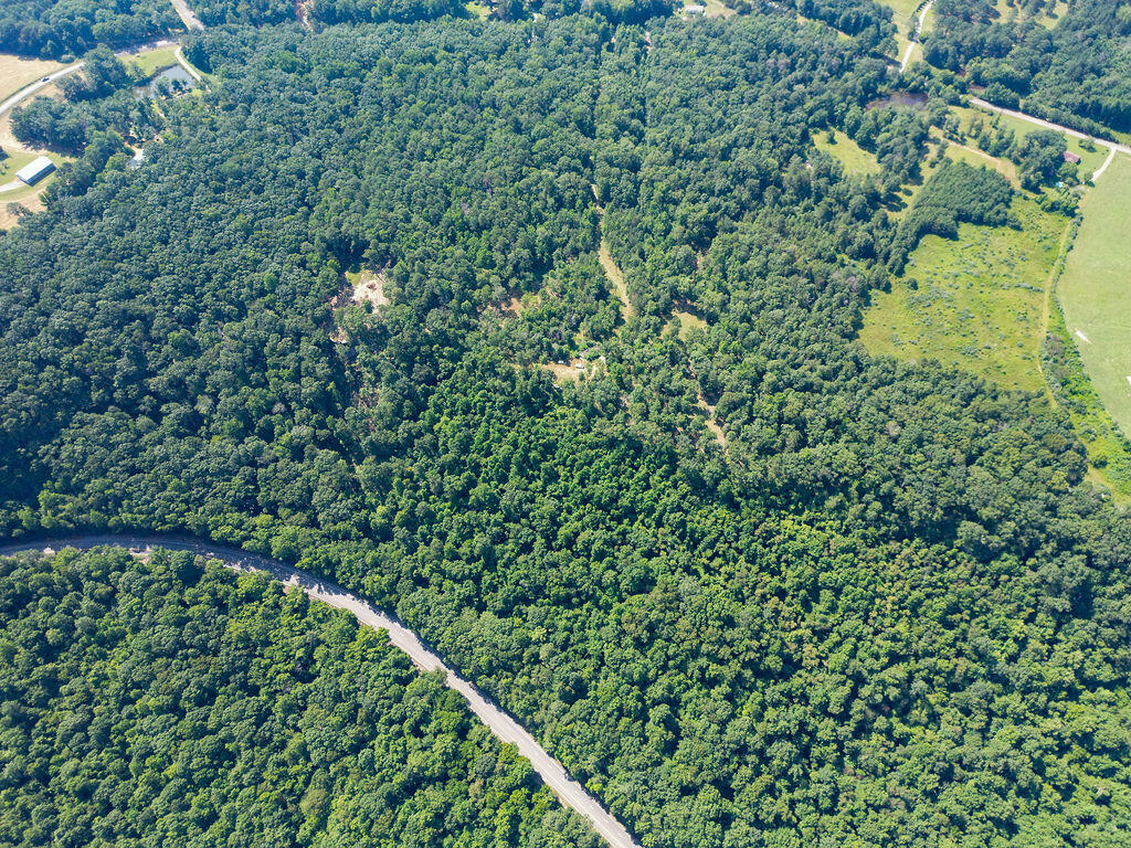 Flat Rock, Alabama 35966, United States, ,Land,Active,169814