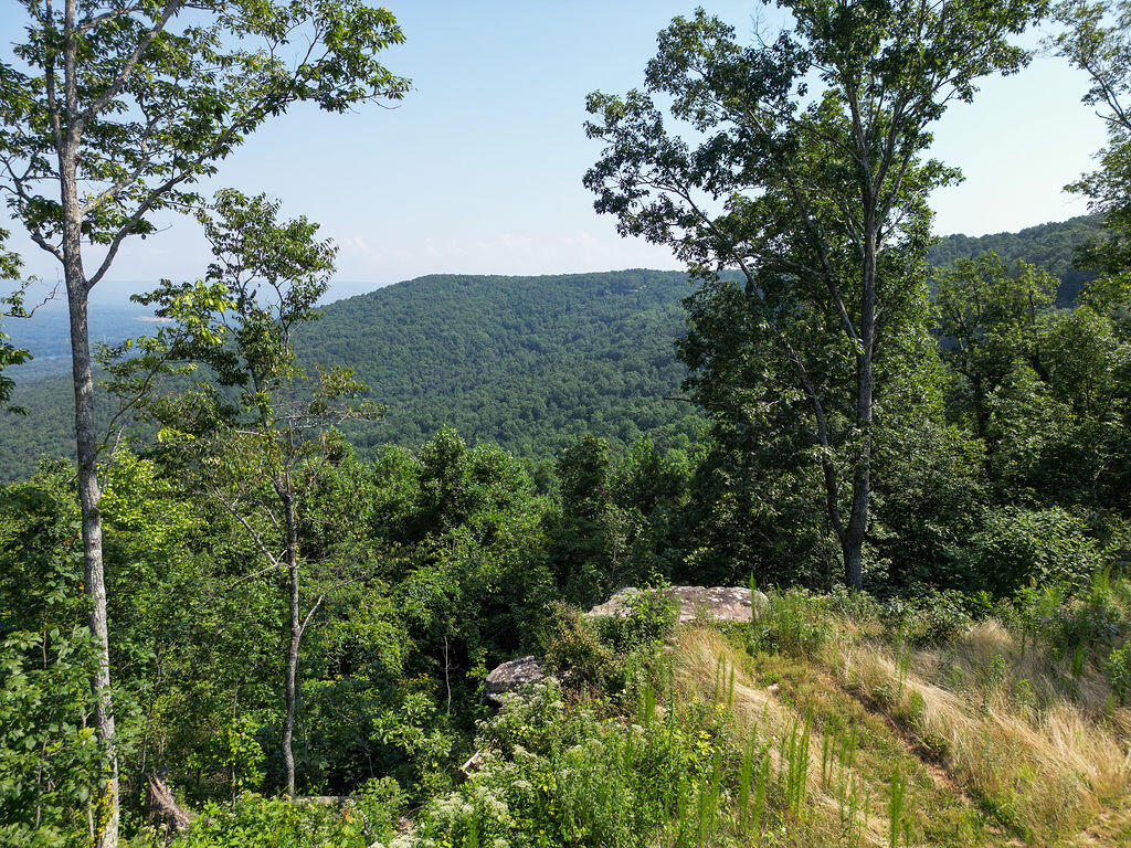 Flat Rock, Alabama 35966, United States, ,Land,Active,169814