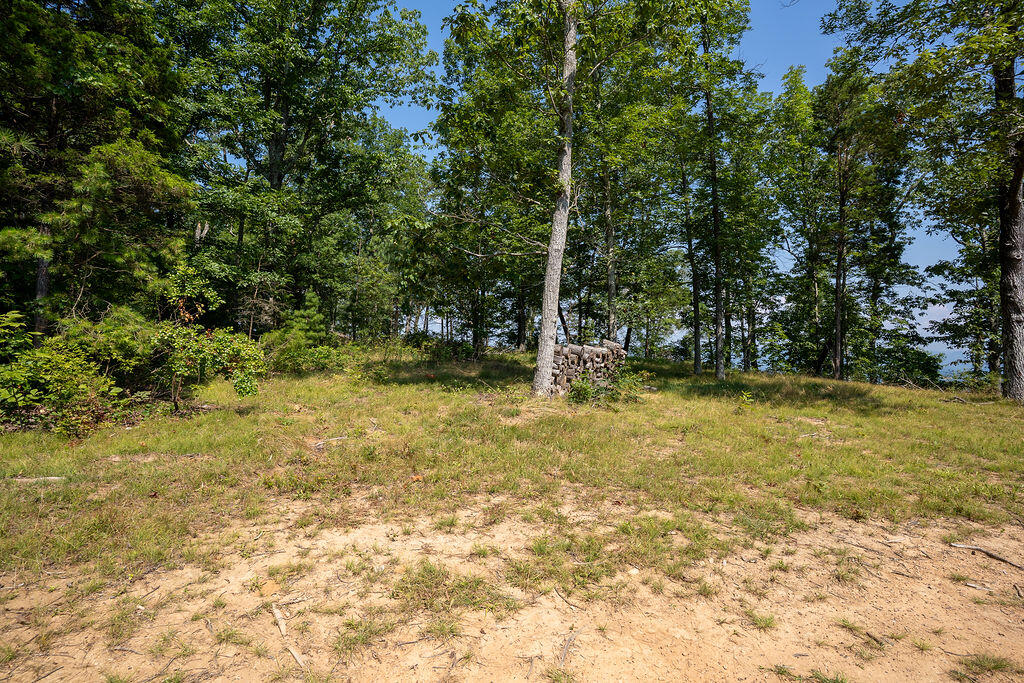 Flat Rock, Alabama 35966, United States, ,Land,Active,169814