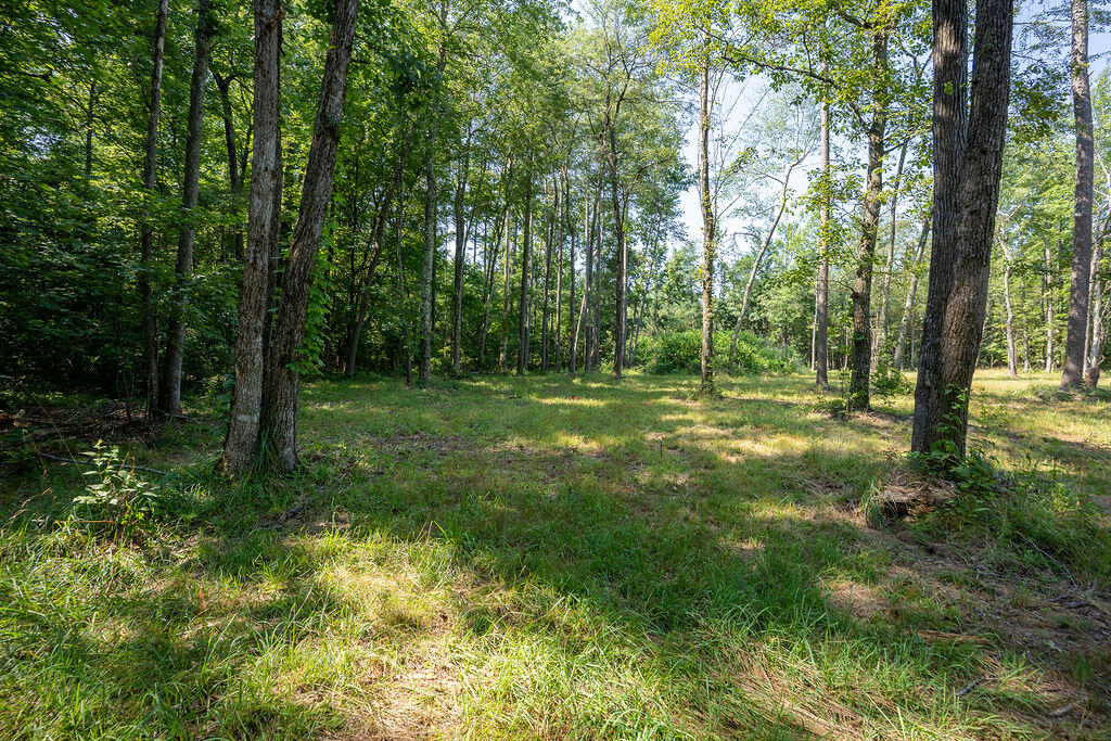 Flat Rock, Alabama 35966, United States, ,Land,Active,169814