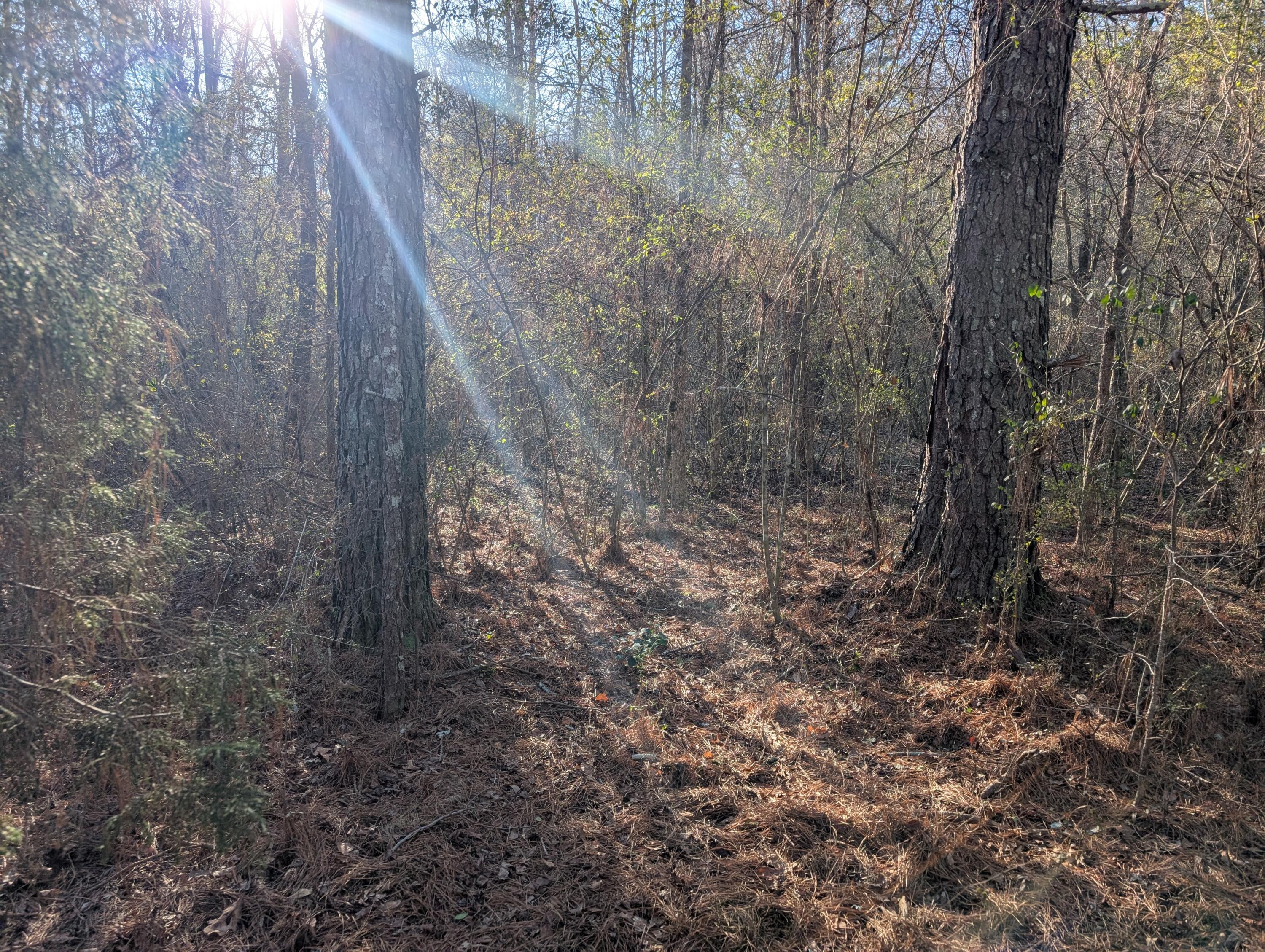 00 Ridgeway Road, Trion, Georgia image 33