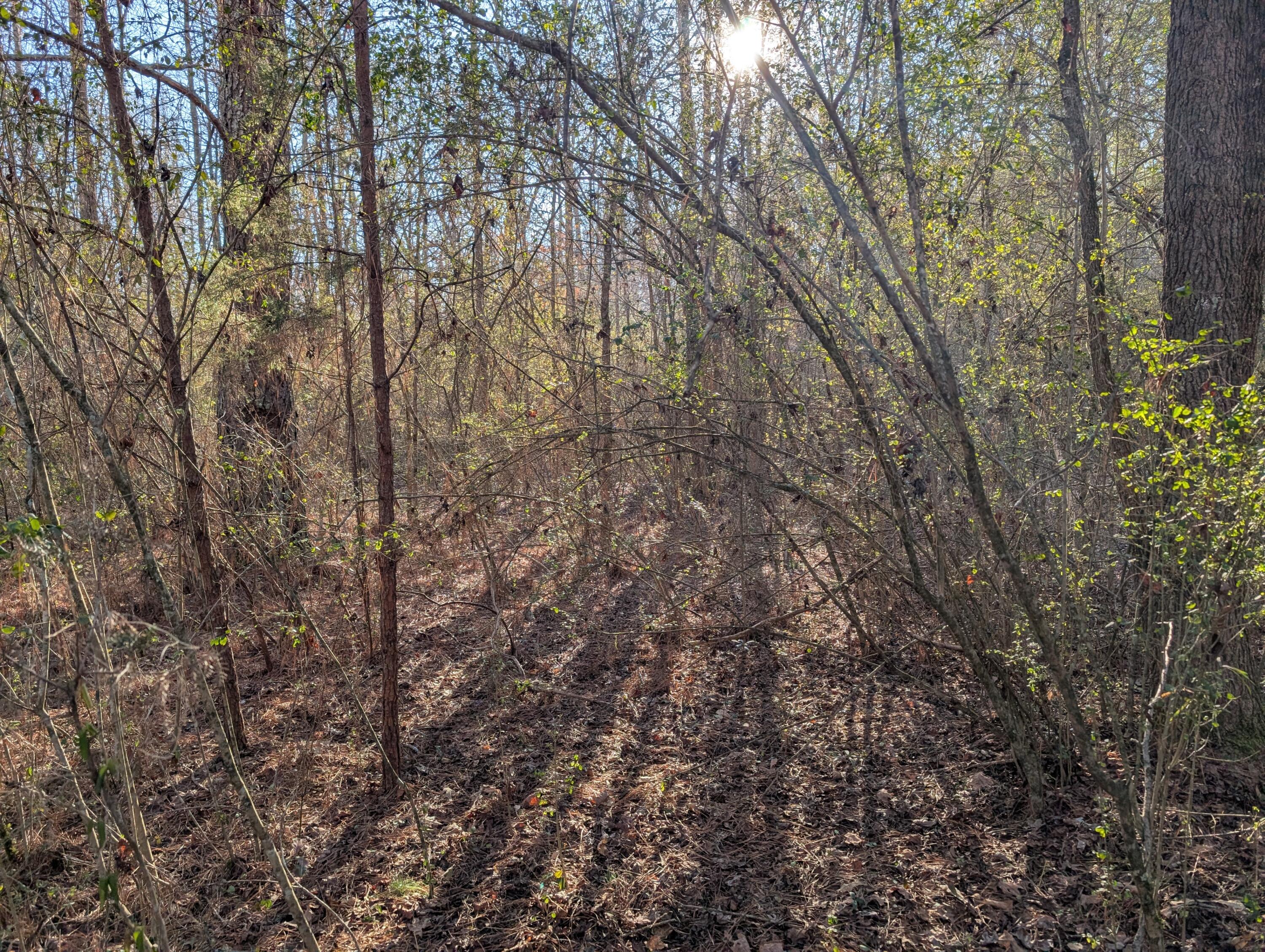 00 Ridgeway Road, Trion, Georgia image 35