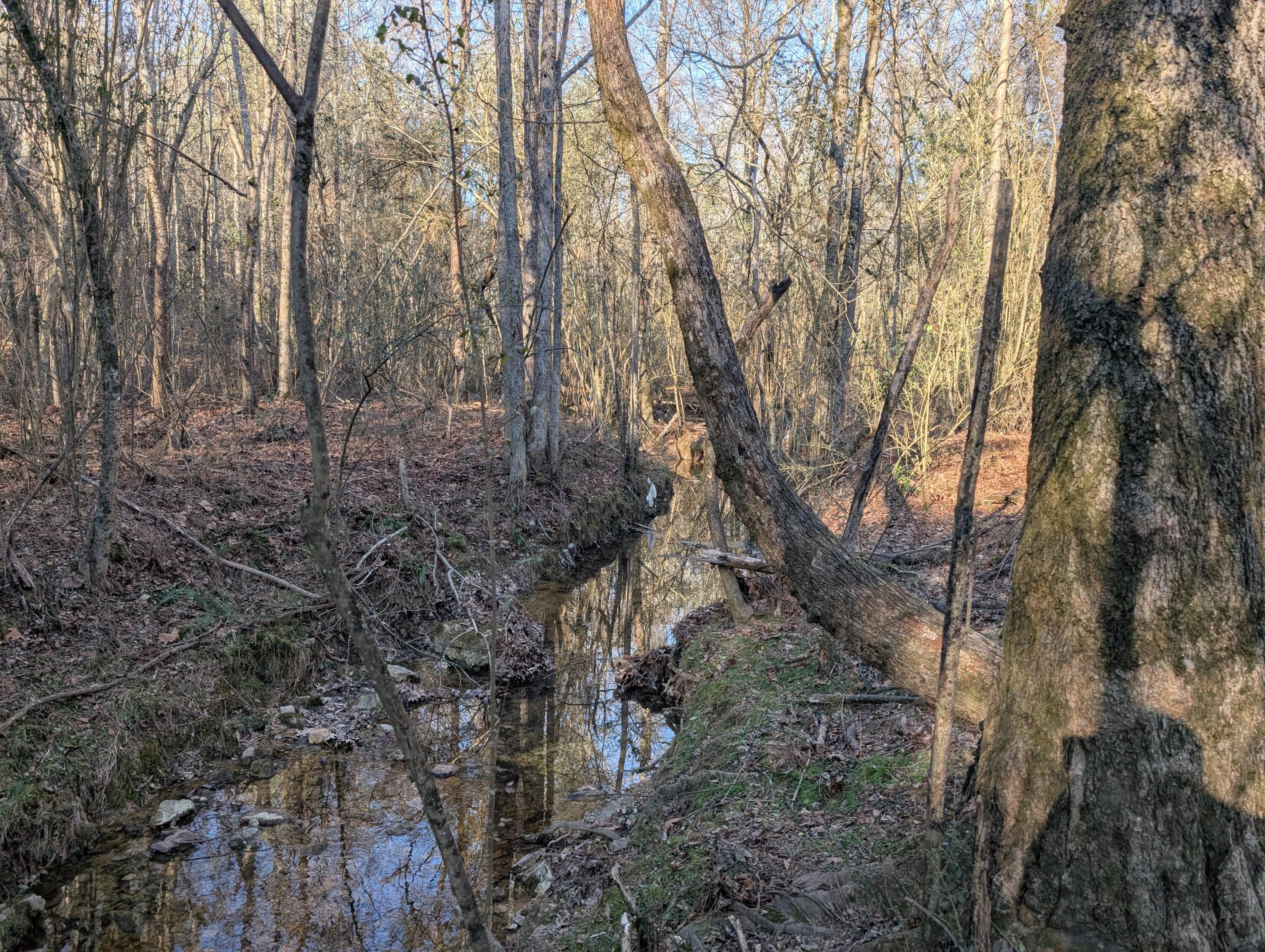 00 Ridgeway Road, Trion, Georgia image 43