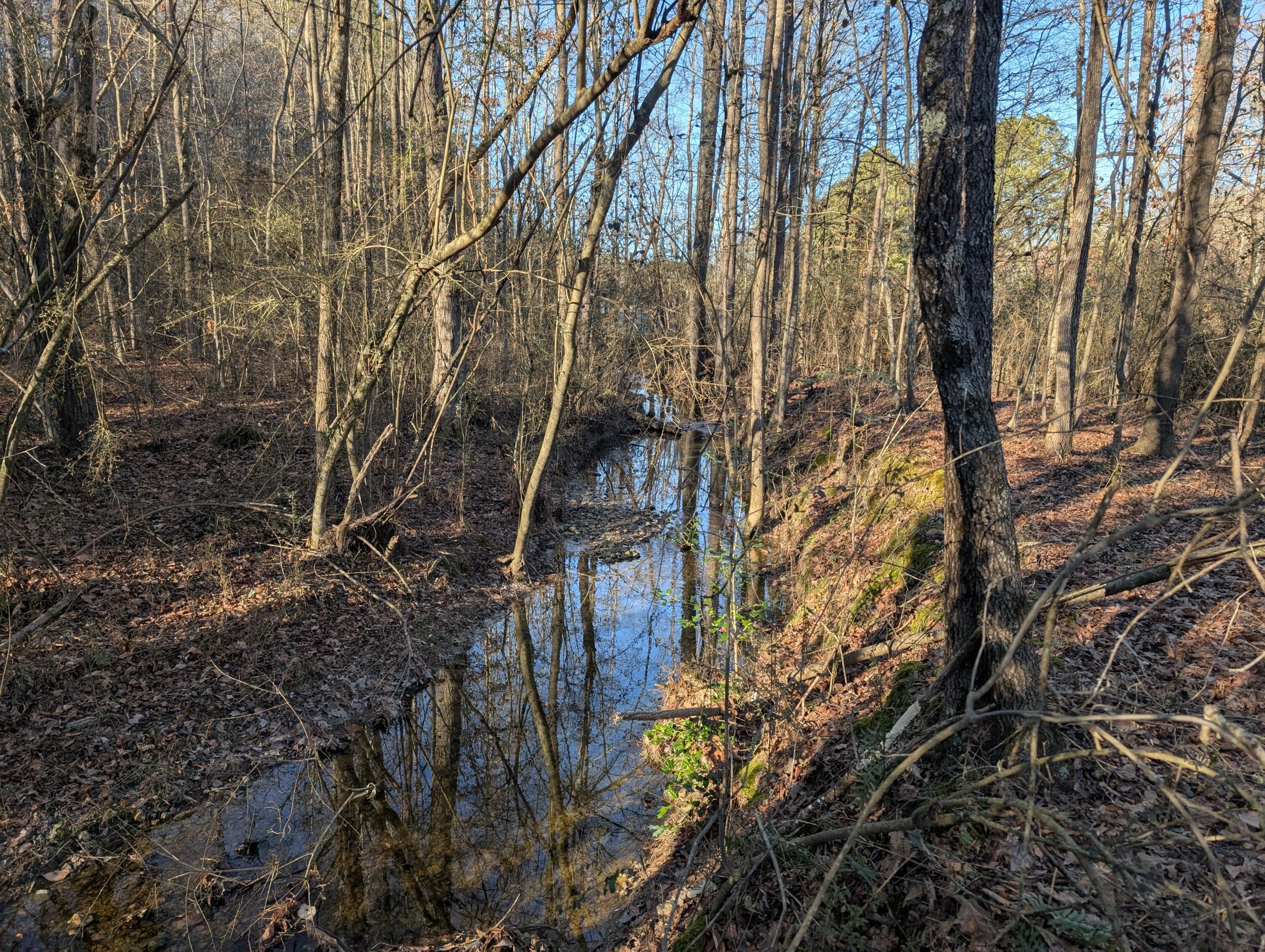 00 Ridgeway Road, Trion, Georgia image 6