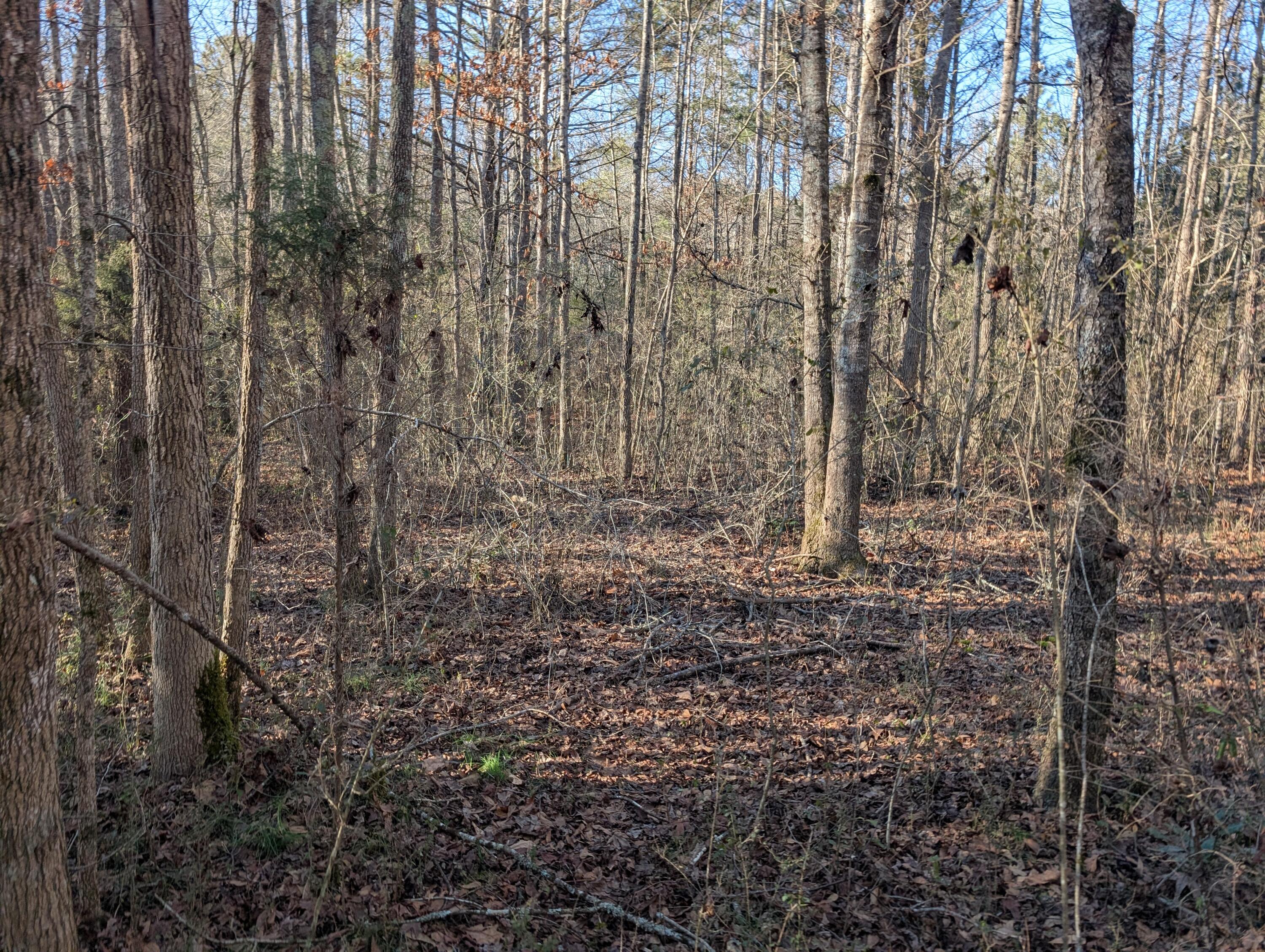 00 Ridgeway Road, Trion, Georgia image 30