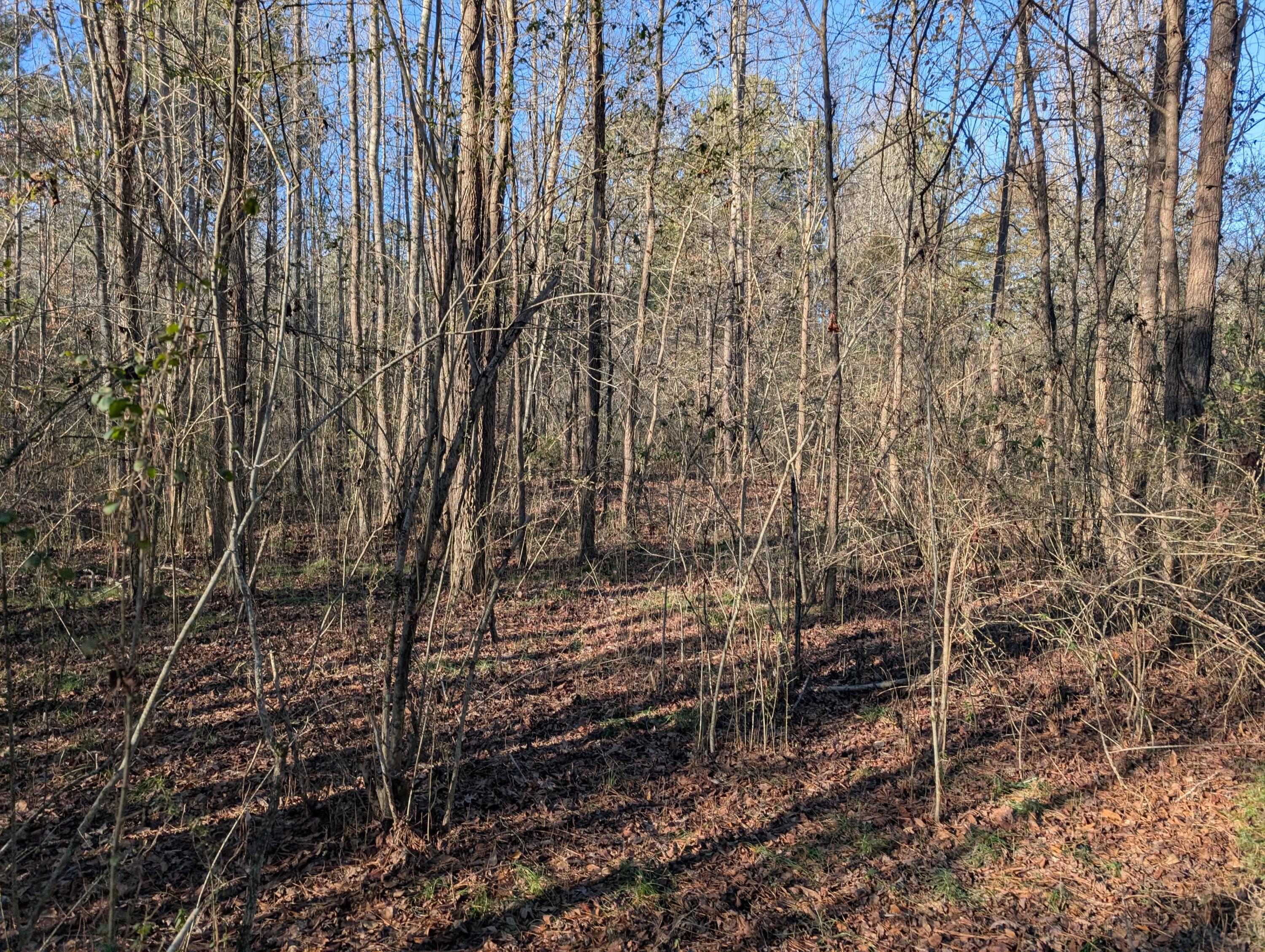 00 Ridgeway Road, Trion, Georgia image 28