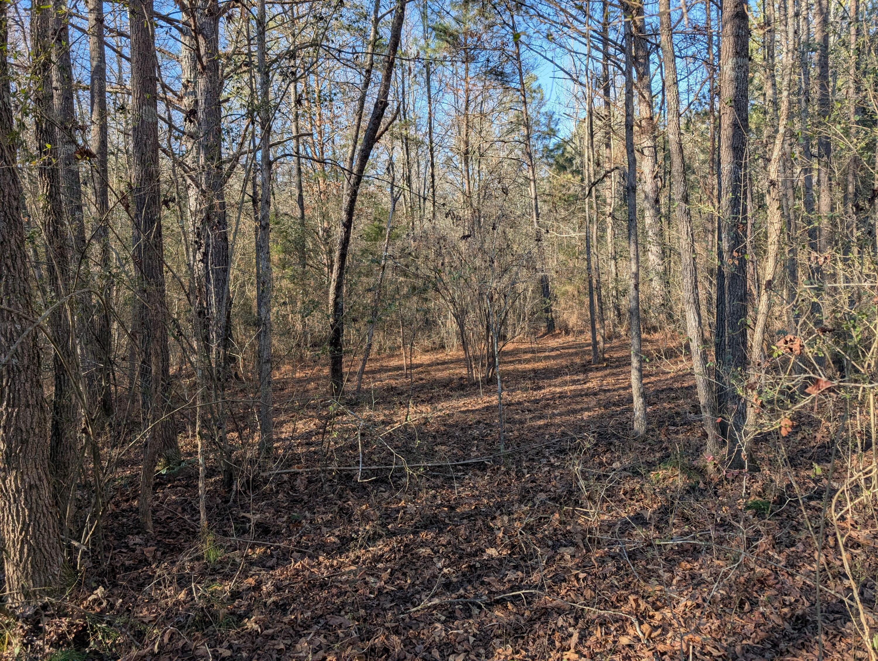 00 Ridgeway Road, Trion, Georgia image 32