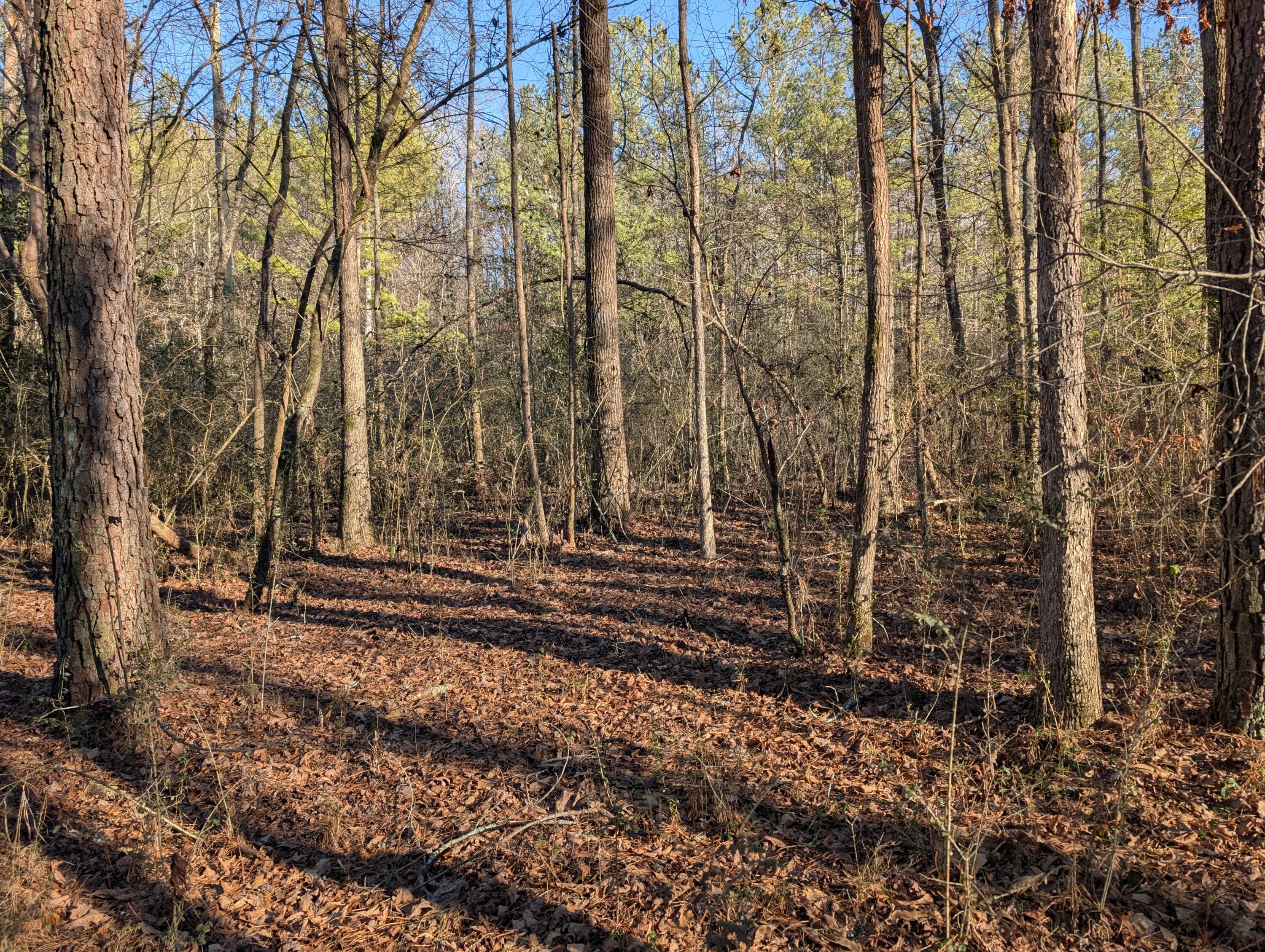 00 Ridgeway Road, Trion, Georgia image 26