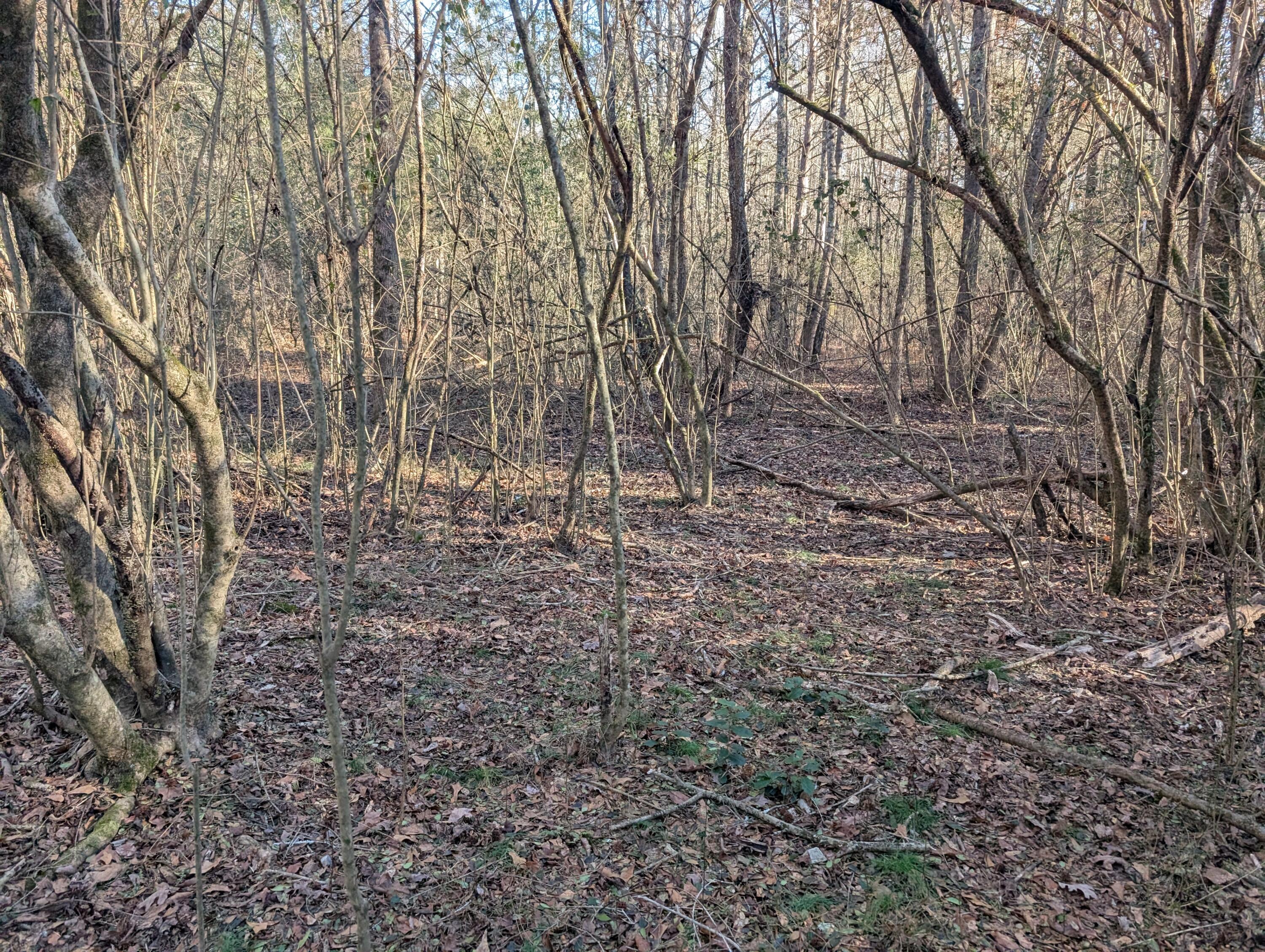00 Ridgeway Road, Trion, Georgia image 38