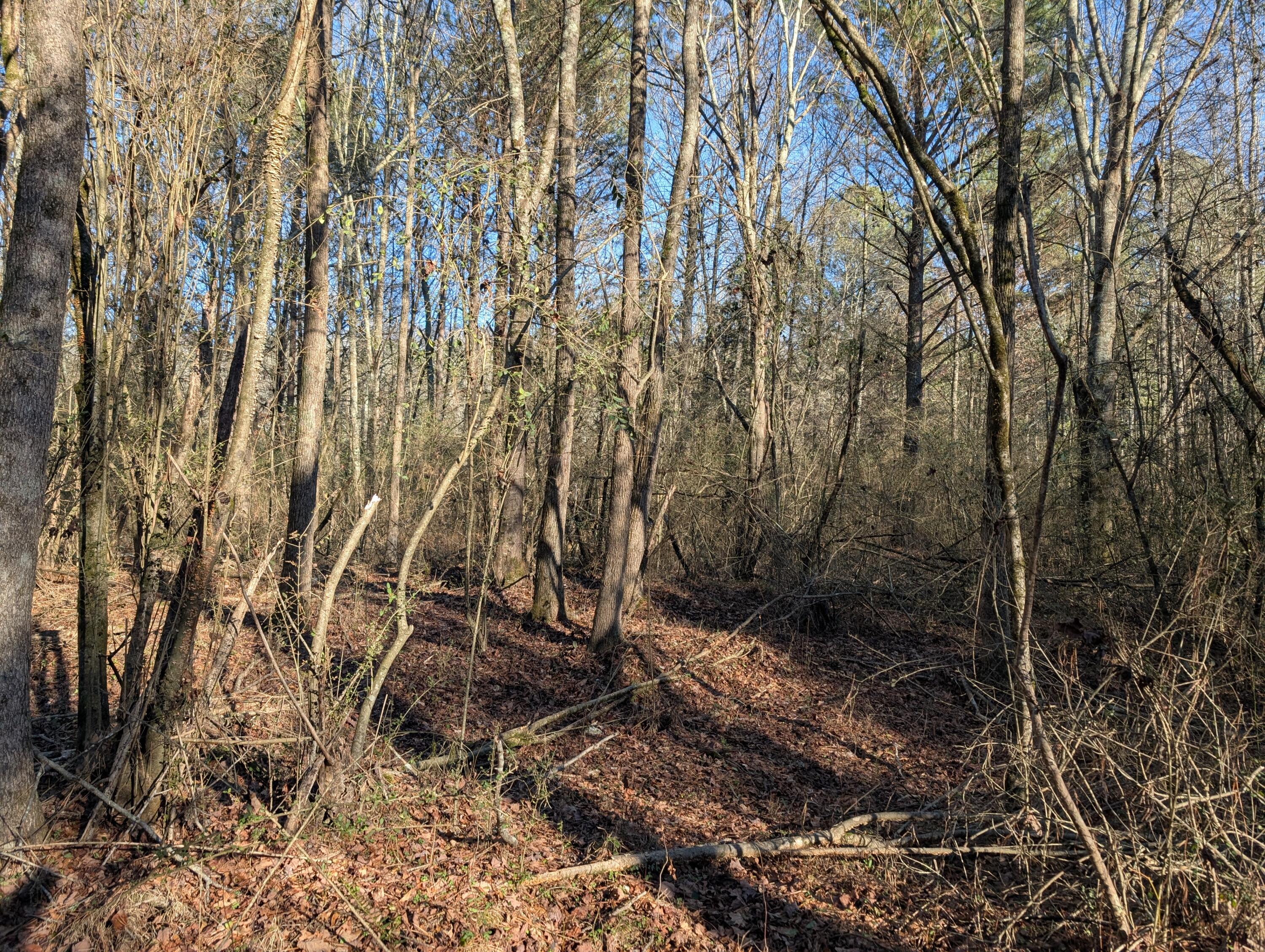 00 Ridgeway Road, Trion, Georgia image 45