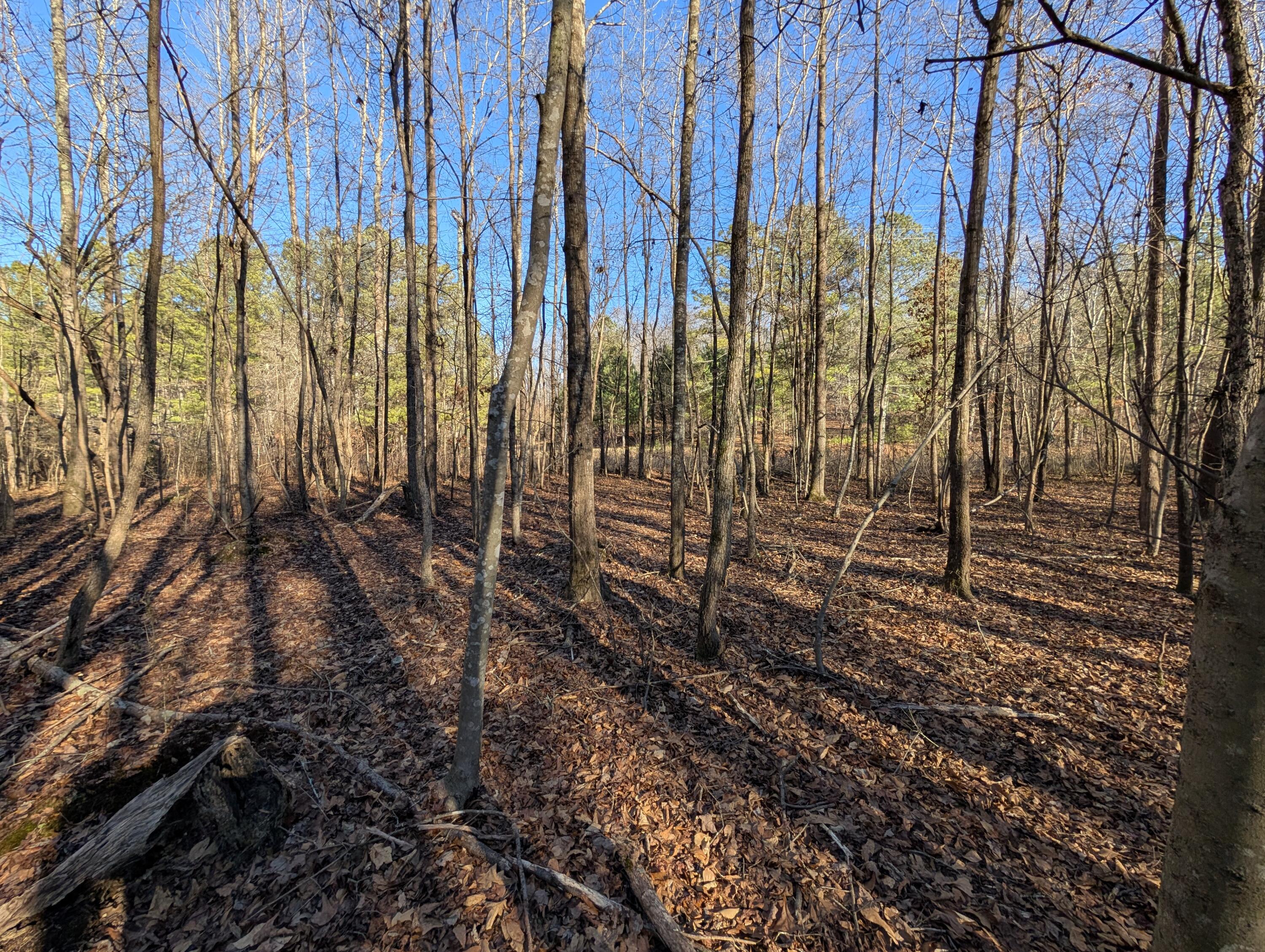 00 Ridgeway Road, Trion, Georgia image 8