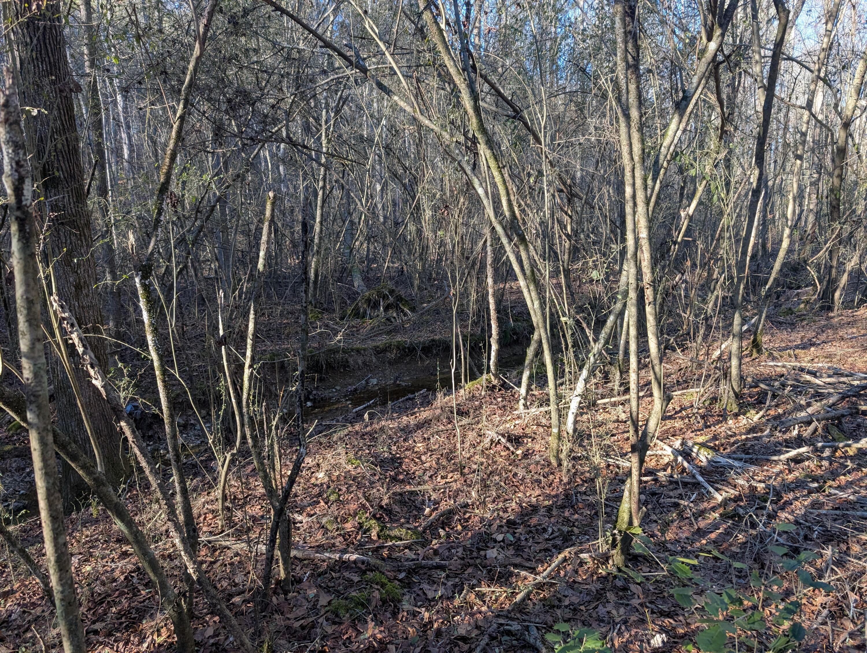 00 Ridgeway Road, Trion, Georgia image 49